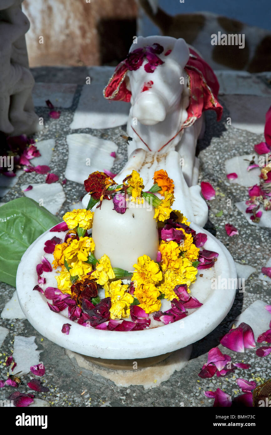 Shiva Lingam. Pushkar. Le Rajasthan. L'Inde Banque D'Images