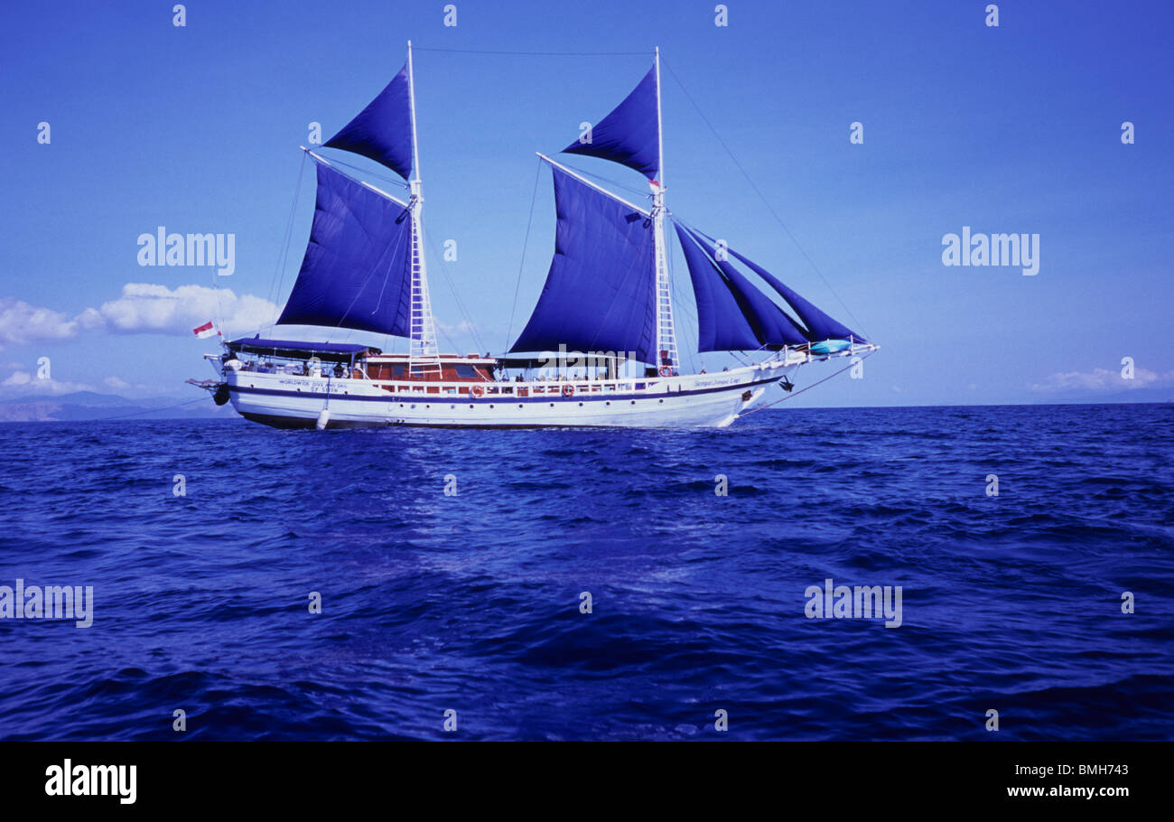 Yacht A Voile A La Sirene Dans La Mer Pres De Flores Komodo L Indonesie Sampai Jumpa Lagi Croisieres De Plongee Voile Location De Bateau Photo Stock Alamy