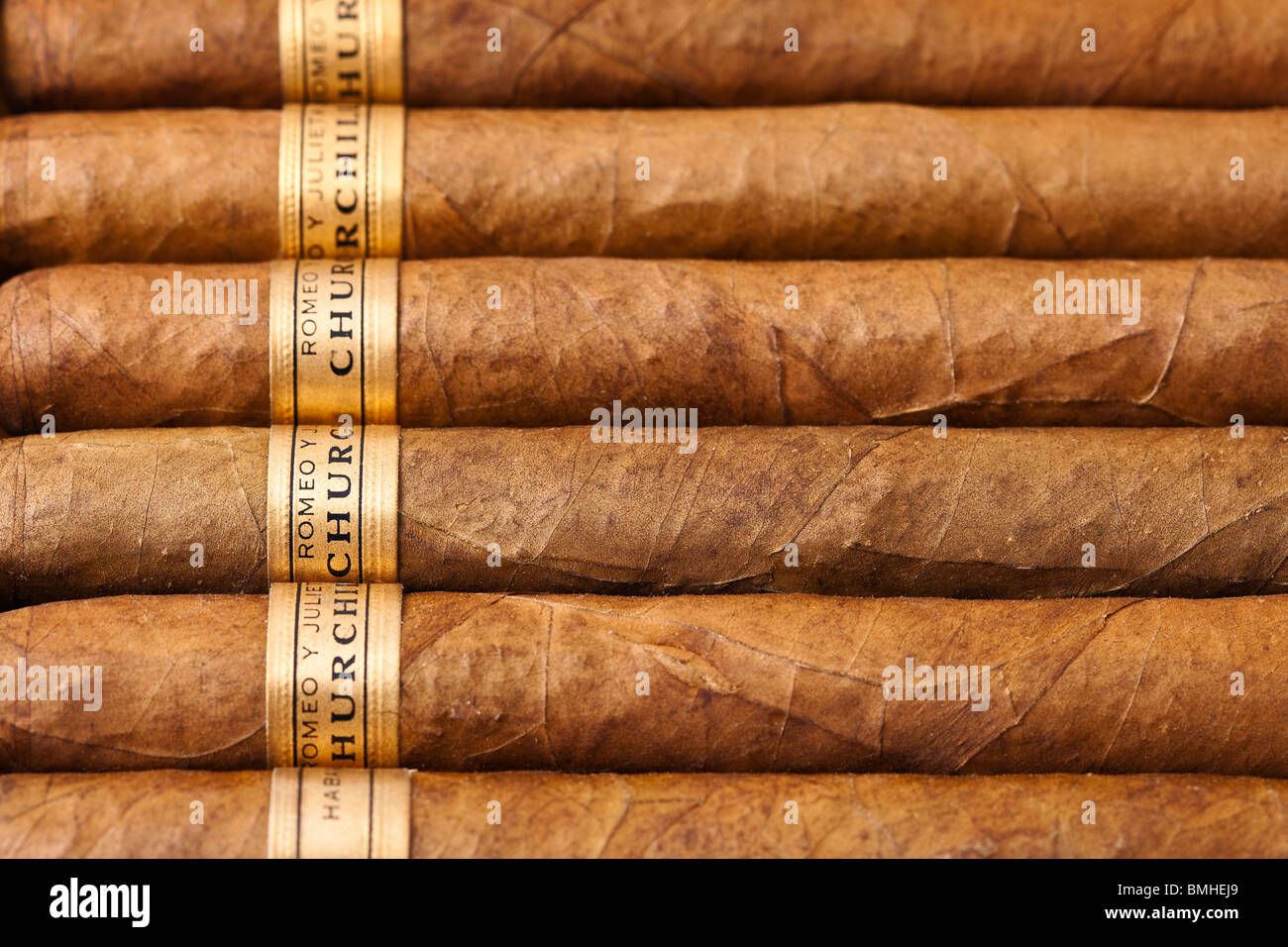 Cigares Cubains Romeo y Julieta, Churchill size Banque D'Images