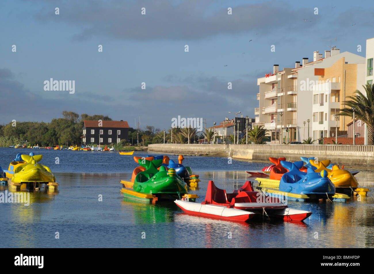 praia-de-mira-banque-de-photographies-et-d-images-haute-r-solution