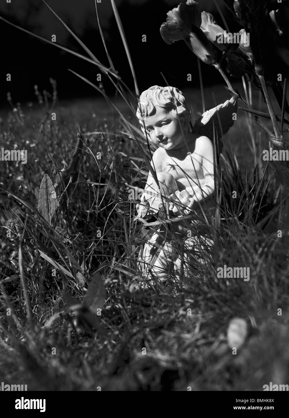 FÉE DANS L’HERBE Banque D'Images