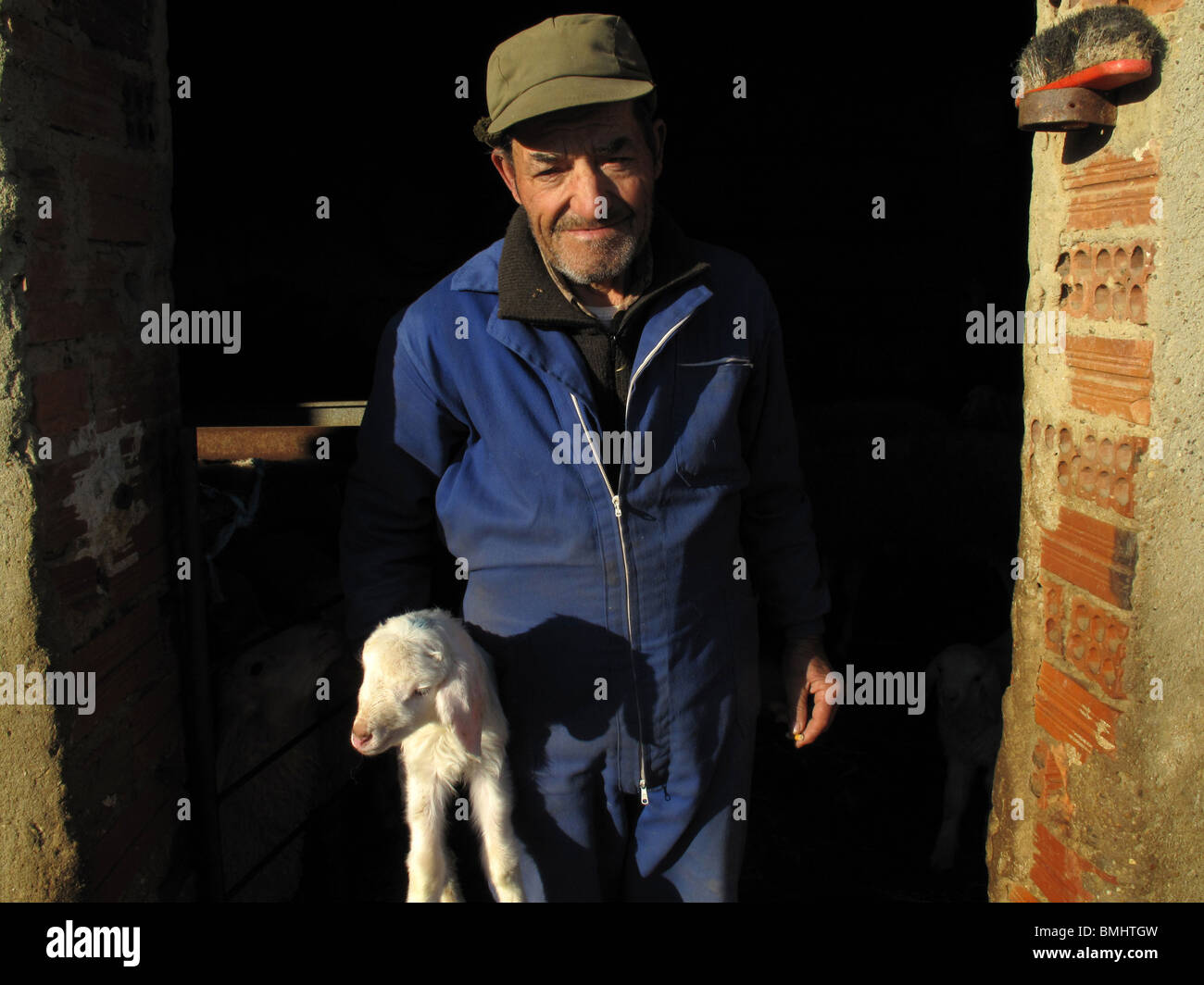 Berger avec agneau à Boadilla del Camino. Tierra de Campos. Palencia. L'Espagne. Chemin de Saint Jacques. Banque D'Images