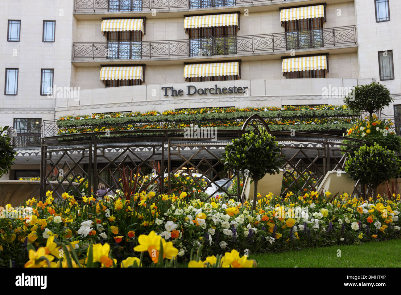 Faible niveau aspect de l'Hôtel Dorchester, le vert en face de l'hôtel ornée de fleurs de printemps et d'arbustes. Banque D'Images