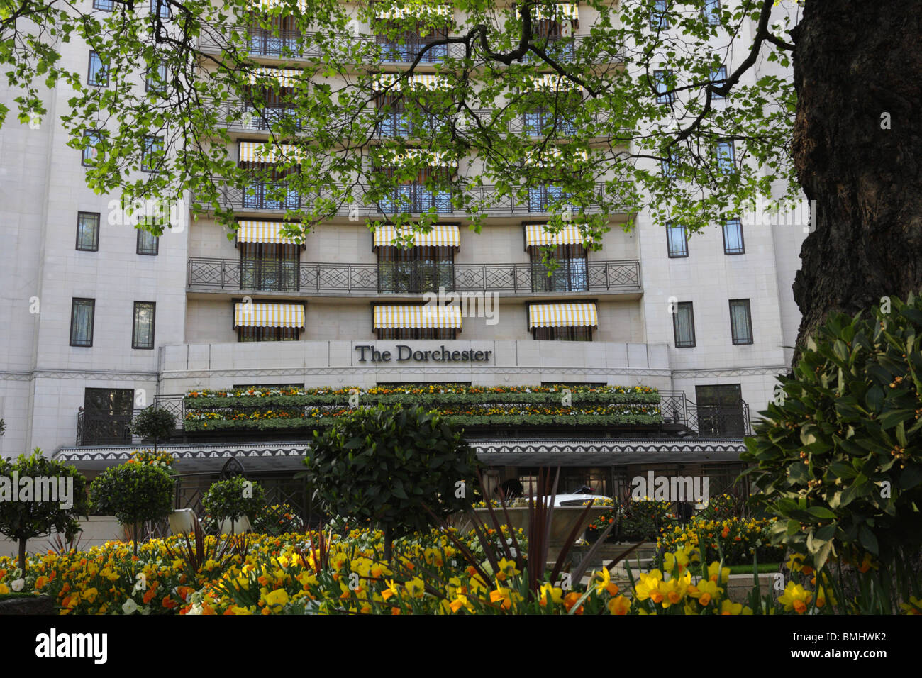 Faible niveau aspect de l'Hôtel Dorchester à Londres de Park Lane, Londres et les fleurs arbre plan offrant une vue encadrée. Banque D'Images