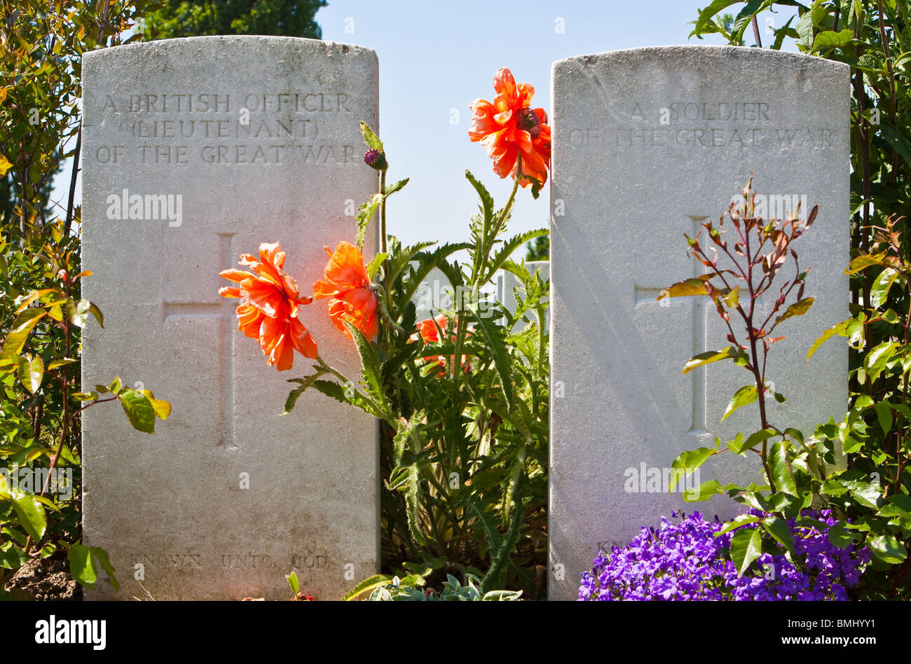 Tombes de guerre au cimetière de Tyne Cot près de Passchendaele Belgique Banque D'Images