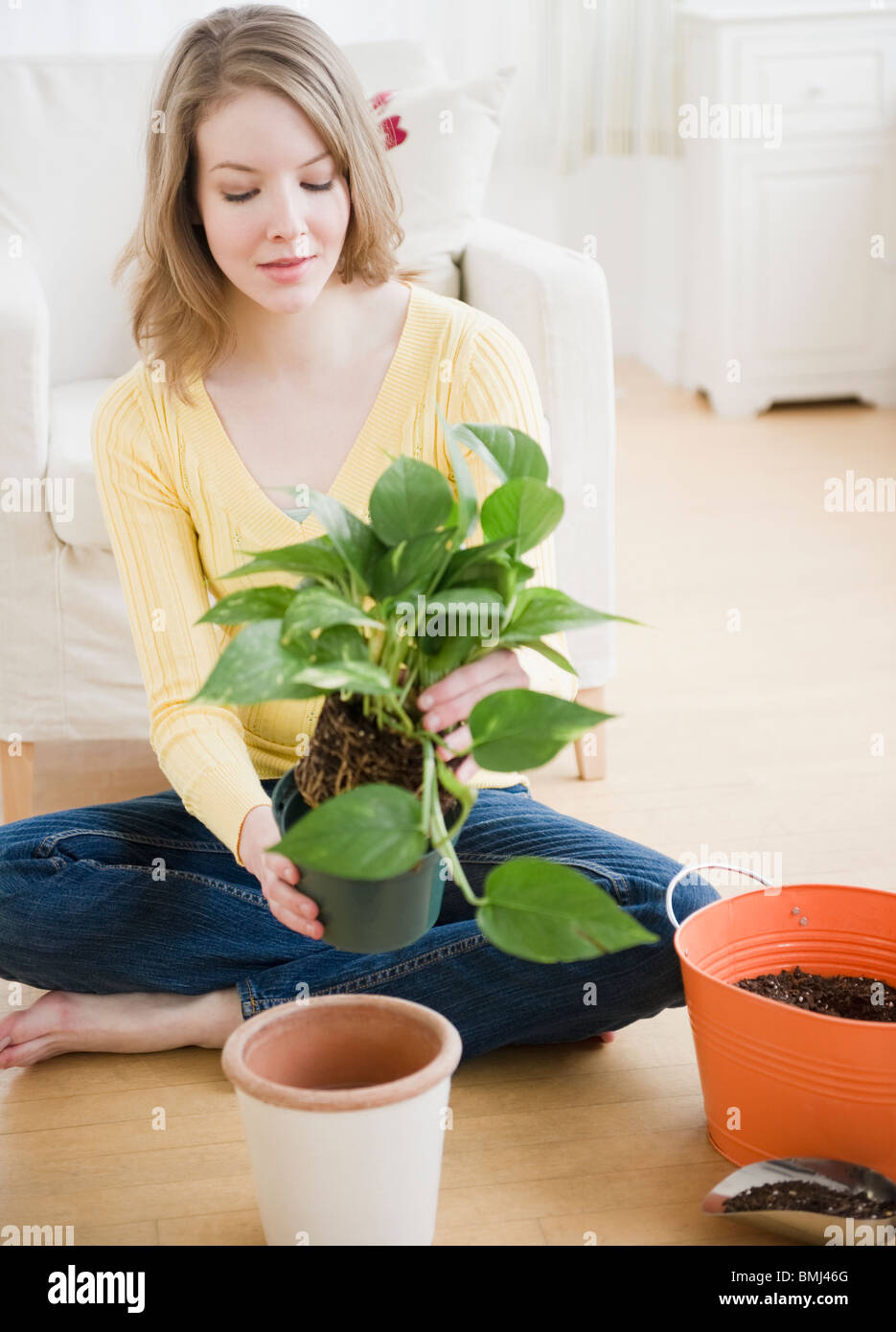 Replanter une plante d'une femme Banque D'Images