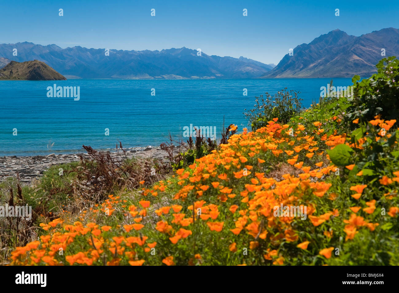 Une vue sur le lac Hawea, île du Sud, Nouvelle-Zélande. Banque D'Images