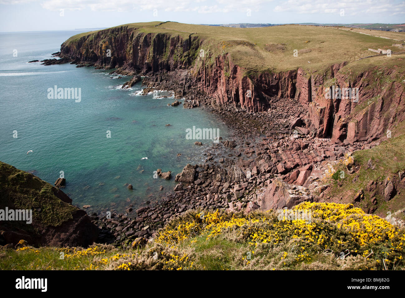 Baie Baie rouge des falaises de grès avec l'île de Caldey Wales UK Banque D'Images