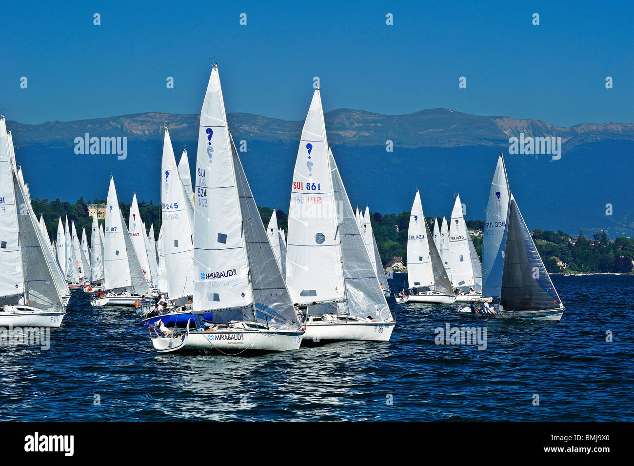 Début de la Bol d'Or 2009 compétition de voile sur le Lac Léman (Lac de  Genève) avec les montagnes du Jura en arrière-plan Photo Stock - Alamy