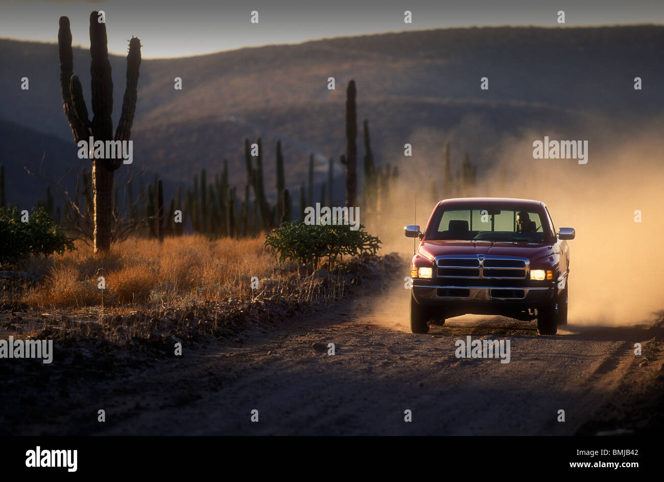 Pick up truck conduite sur route de terre dans le désert . La basse Californie au Mexique. Dodge Ram V10 Banque D'Images