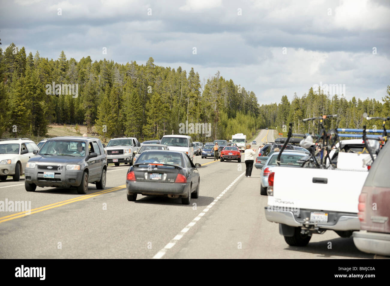 Embouteillage à l'observation de la faune. Le Parc National de Yellowstone, États-Unis Banque D'Images