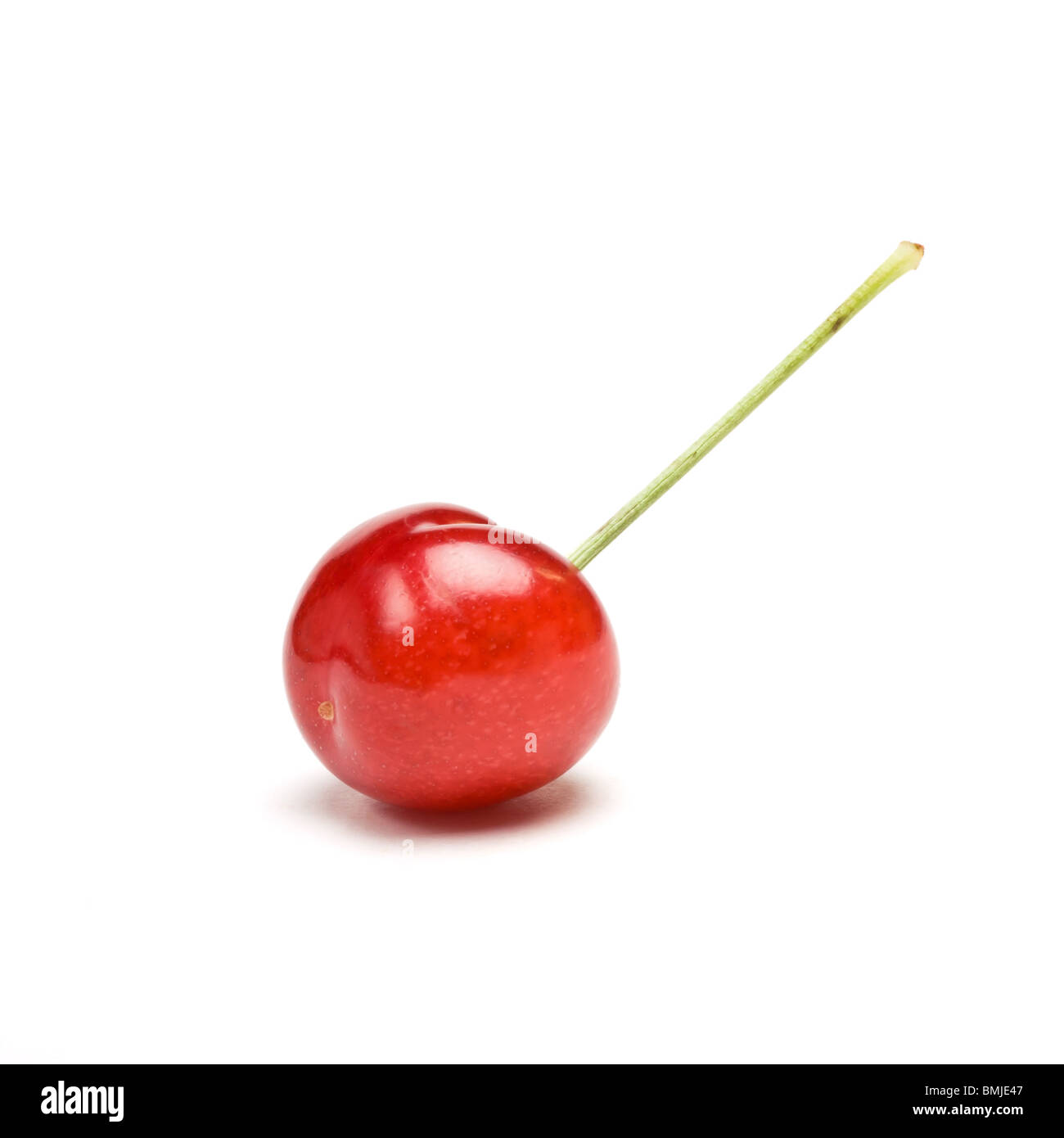 Sweet Cherry isolé sur blanc du point de vue faible. Banque D'Images
