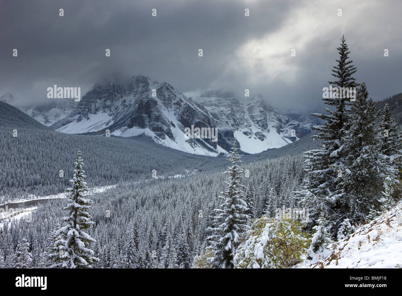 Un freash neige dans la vallée des Dix-Pics, Banff National Park, Alberta, Canada Banque D'Images