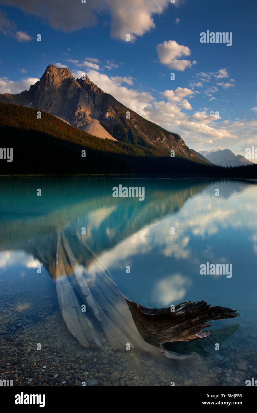 Emerald Lac au crépuscule avec la peakof Mt Burgess au-delà, le parc national Yoho, Colombie-Britannique, Canada Banque D'Images