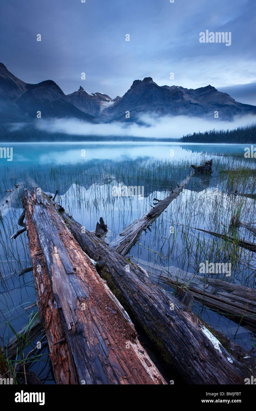 Emerald Lake à l'aube avec les pics du président au-delà de la plage, le parc national Yoho, Colombie-Britannique, Canada Banque D'Images