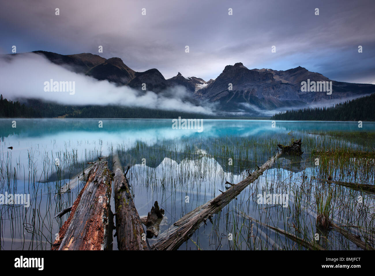 Emerald Lake à l'aube avec les pics du président au-delà de la plage, le parc national Yoho, Colombie-Britannique, Canada Banque D'Images