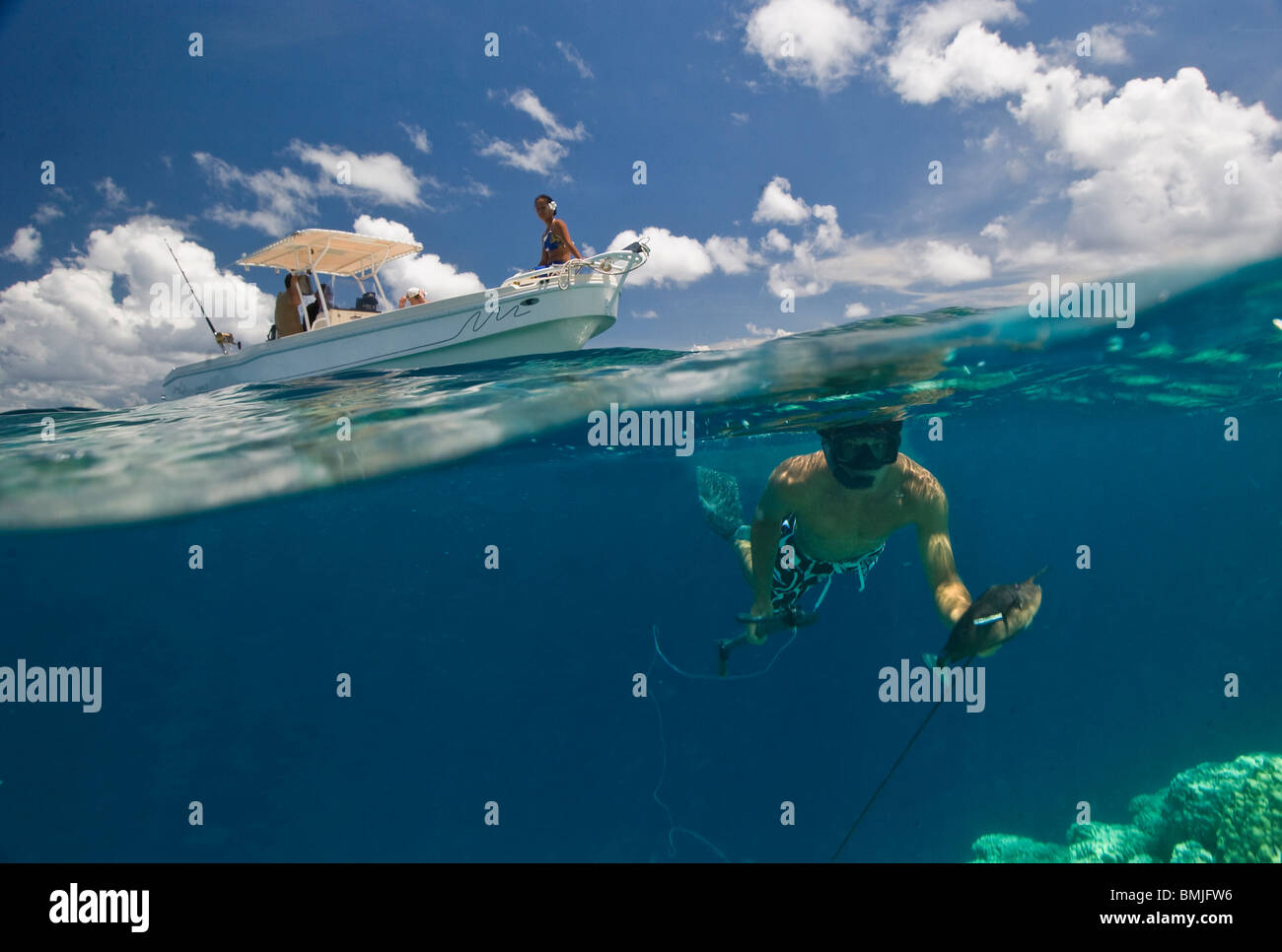 Spearfisherman, sur et sous l'action. Banque D'Images