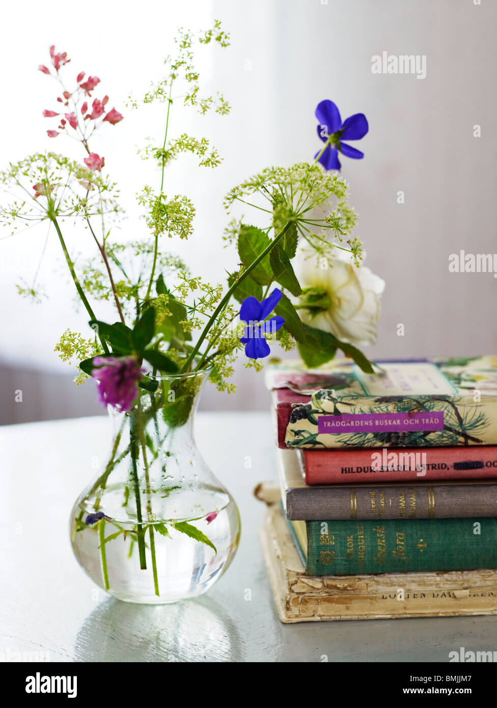 La Scandinavie, Suède, Pays-Bas, pile de livres à côté de vase à fleurs sur table Banque D'Images