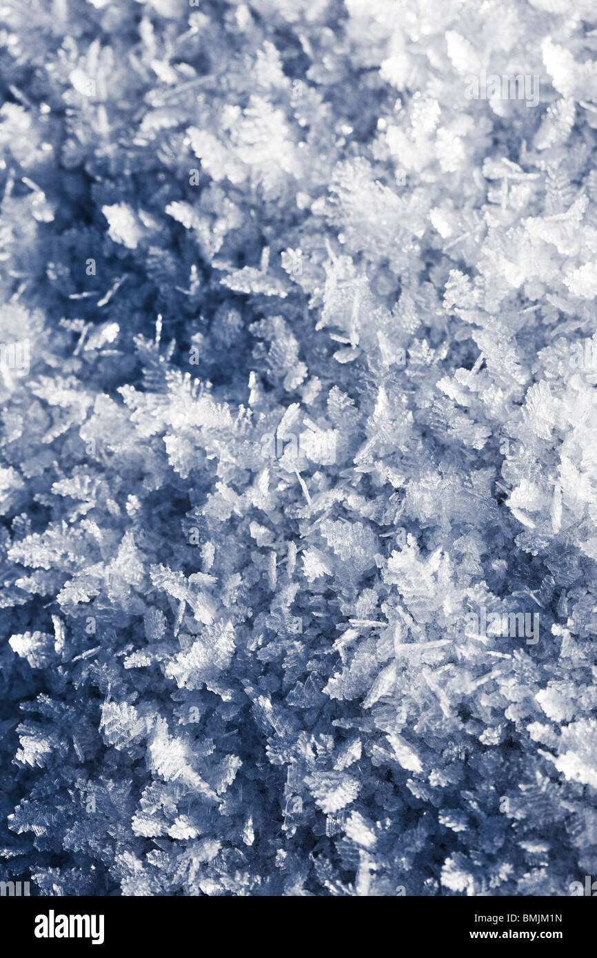 Péninsule scandinave, en Suède, Malmö, Sodermanland, vue de flocons, close-up Banque D'Images