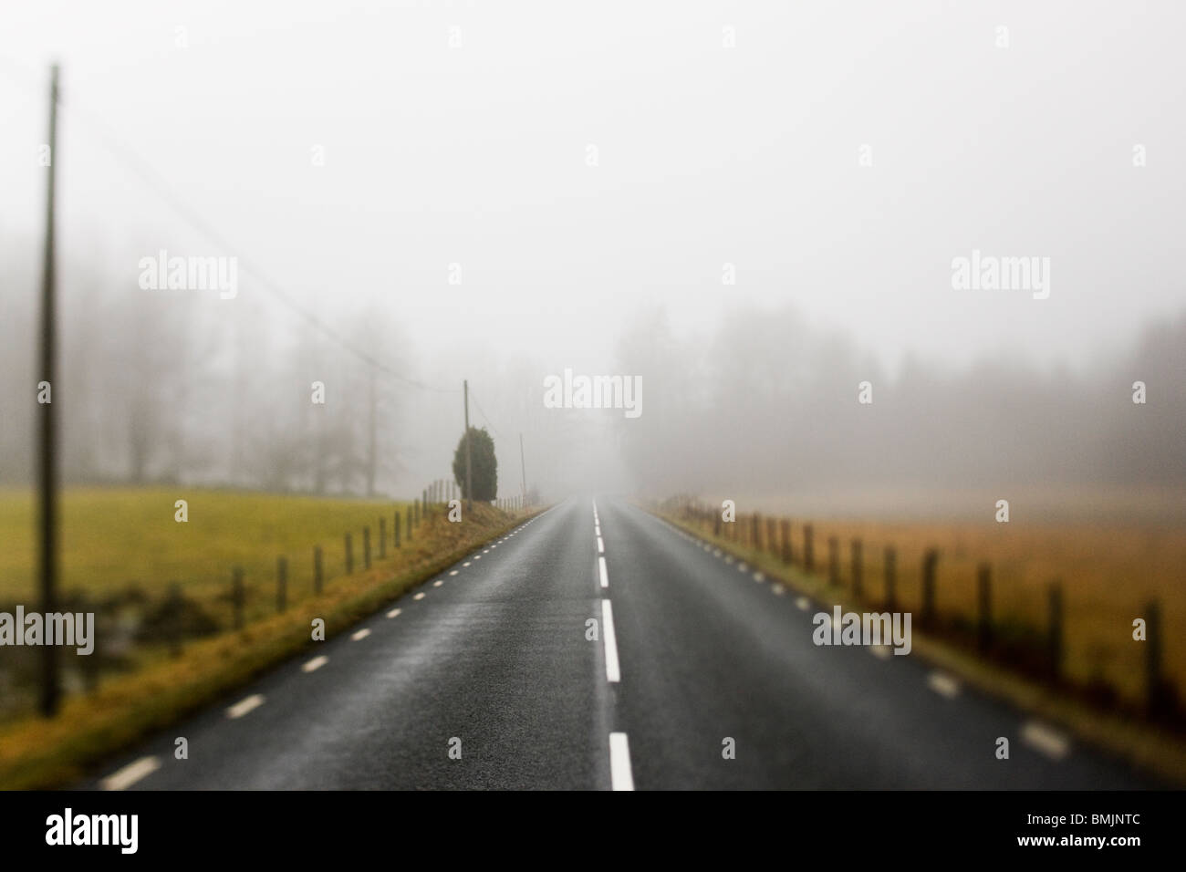 Péninsule scandinave, en Suède, Malmö, vue de empty country road through landscape Banque D'Images