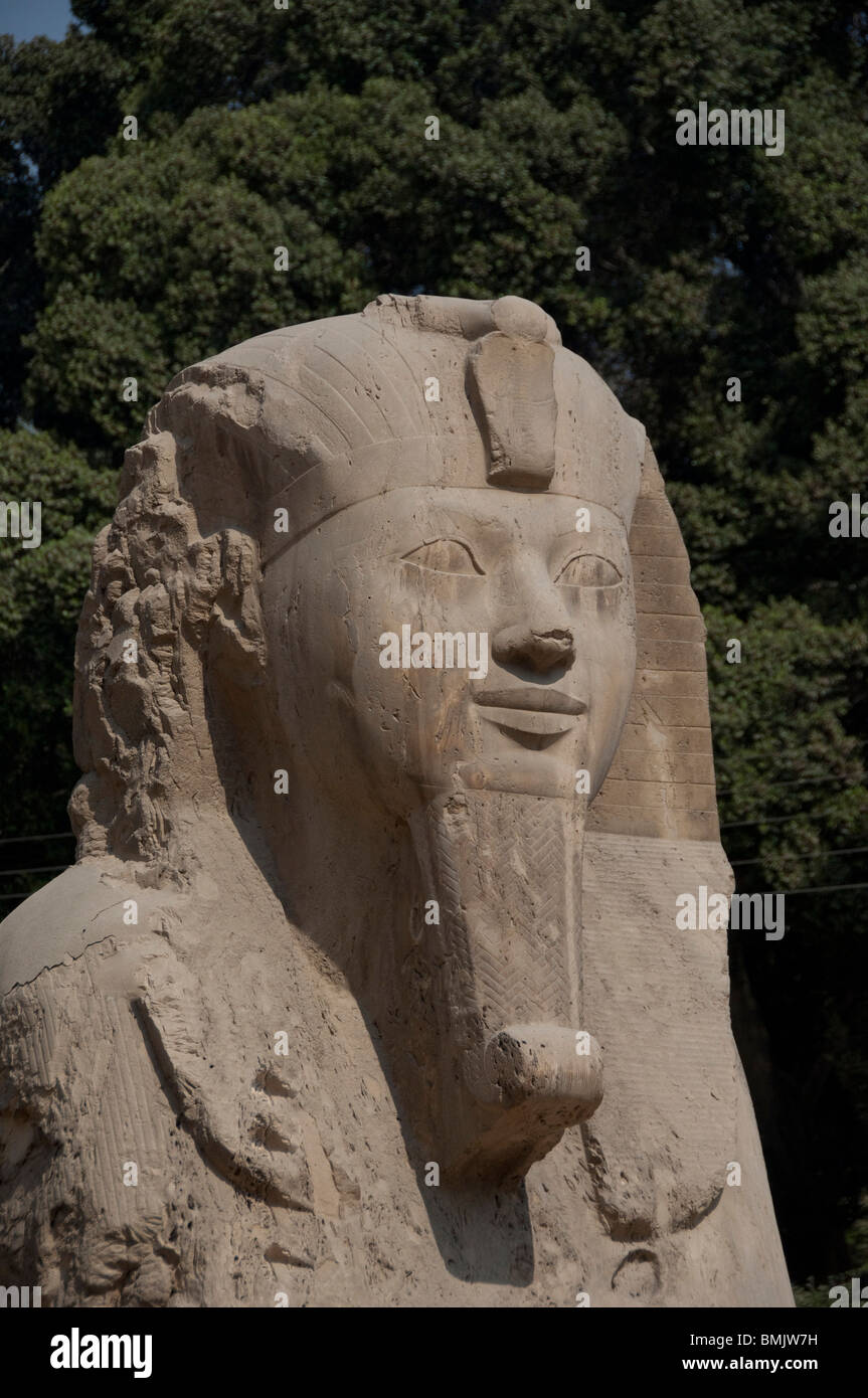 L'Égypte, Memphis (aka Menufer). Sphinx d'albâtre d'Aménophis II. Banque D'Images