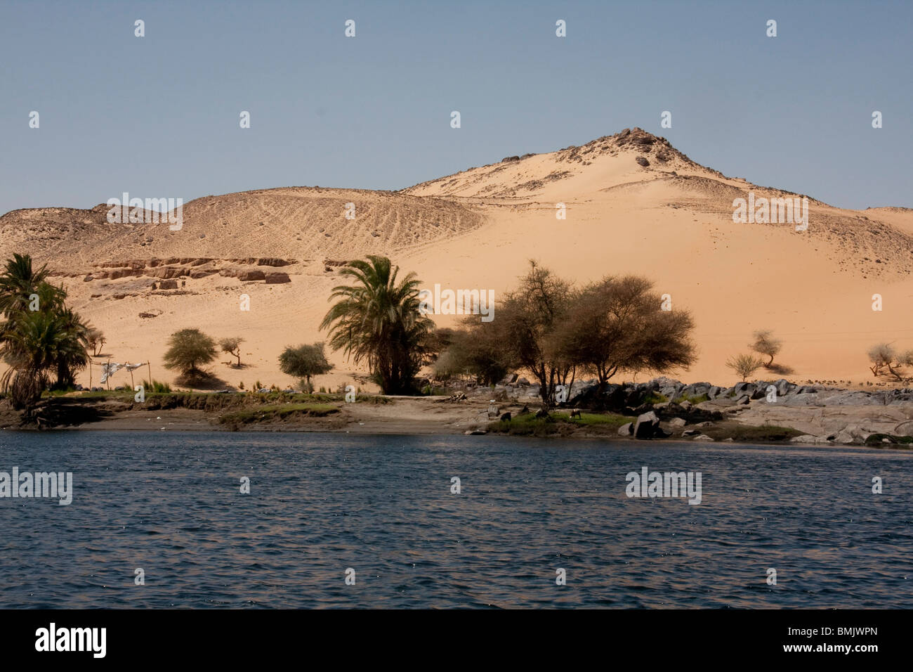 D'acacias et de palmiers par le Nil dans la première aire protégée des îles de la cataracte Saluga et Ghazal, Assouan, Egypte Banque D'Images