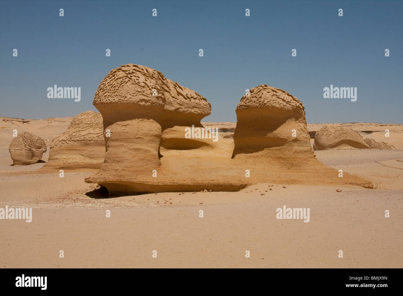 Les formations de grès résultant de l'érosion éolienne dans le Wadi Al-Hitan (la Vallée des baleines), Égypte, El Fayoum Banque D'Images