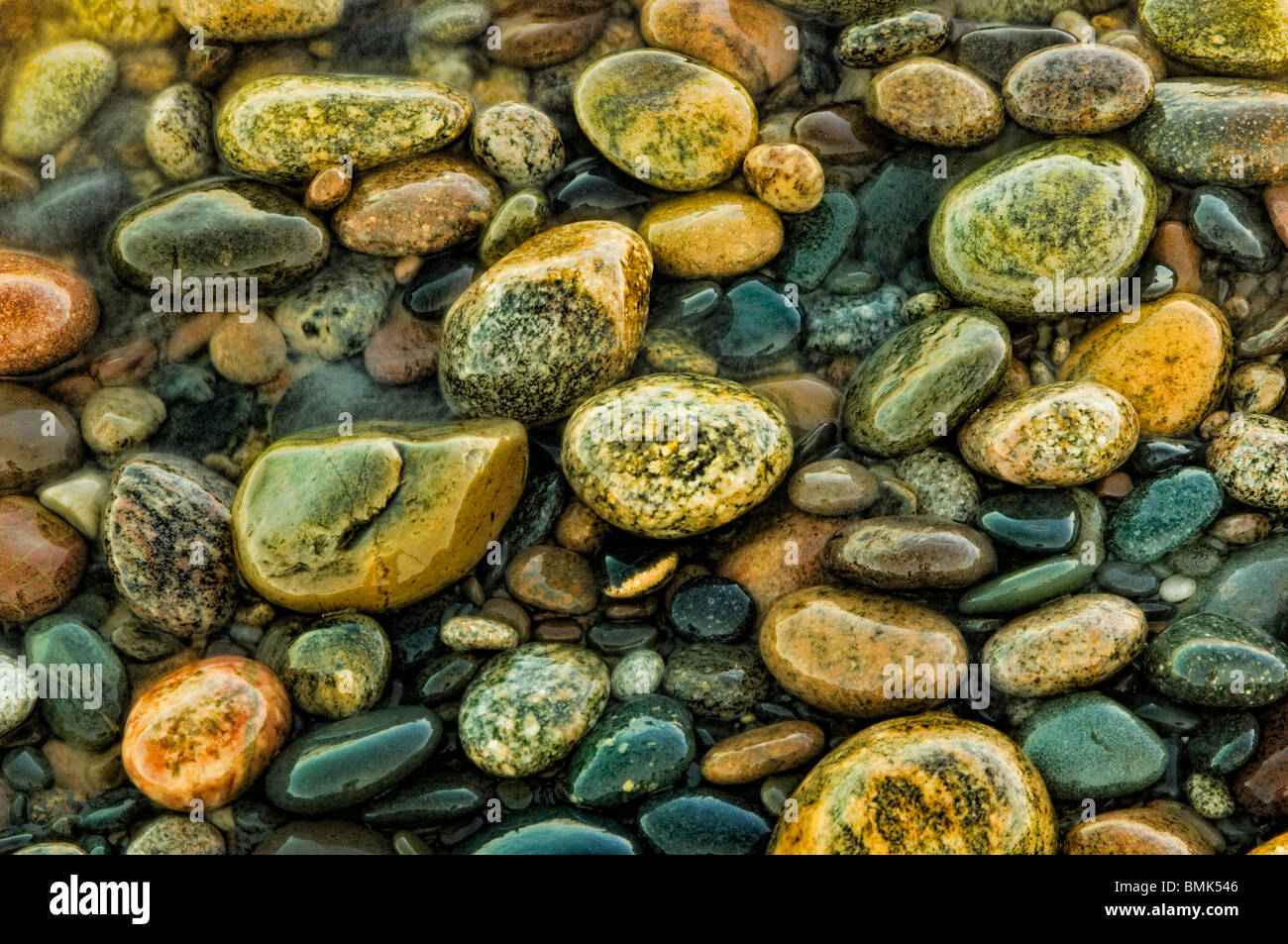 Pierres colorées le long des rives du lac Supérieur dans cette nature Conservancy Little Traverse préserver Banque D'Images