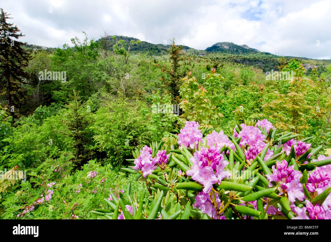 Avis de Grandfather Mountain Banque D'Images