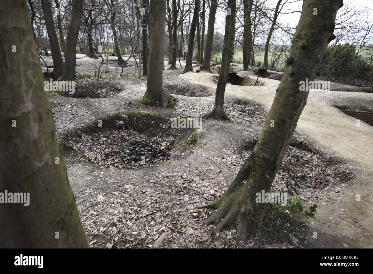 World War 1 cratères au Bois du Sanctuaire, près d'Ypres en Belgique. Banque D'Images