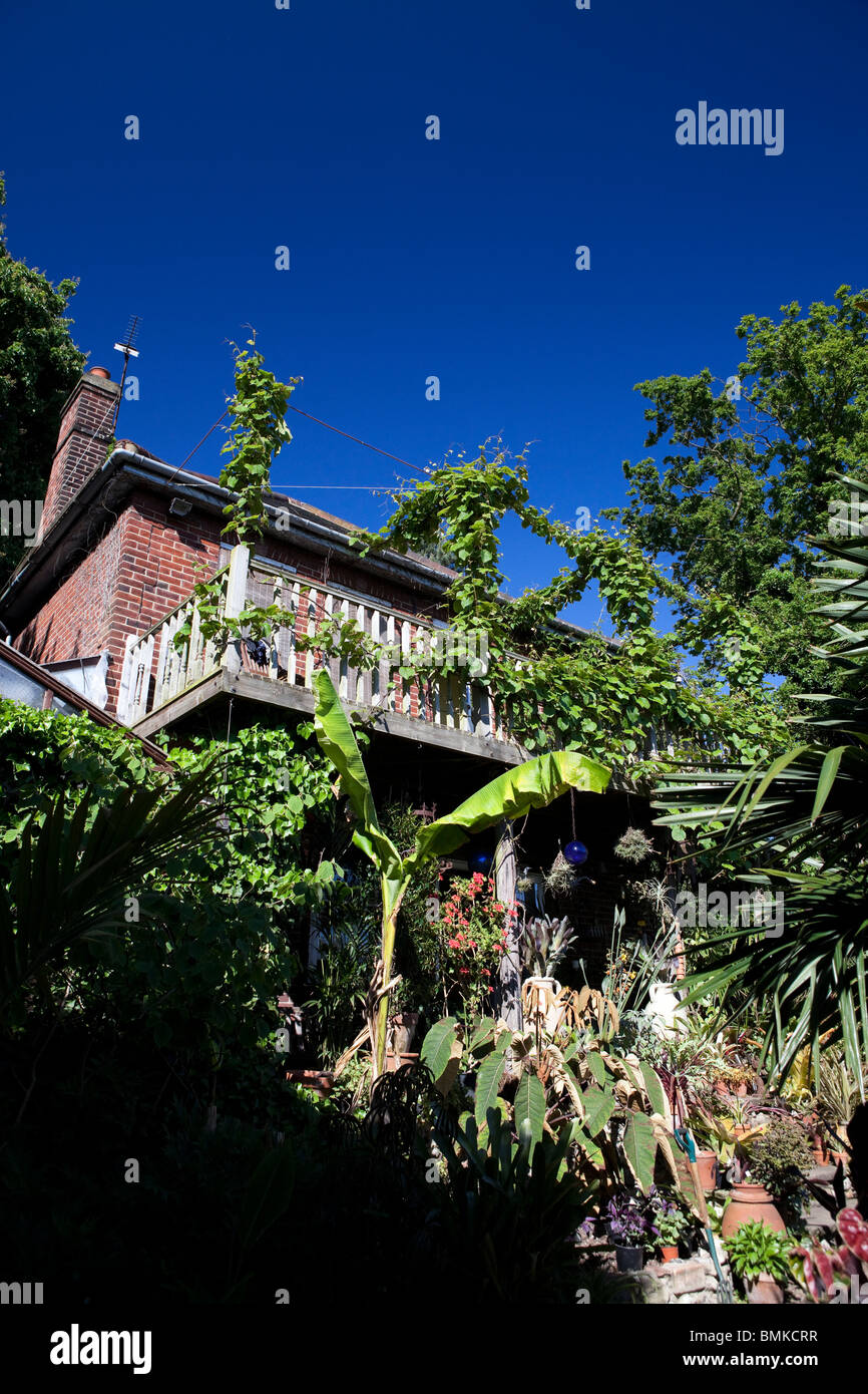 Vues autour du Jardin Exotique Norwich Banque D'Images