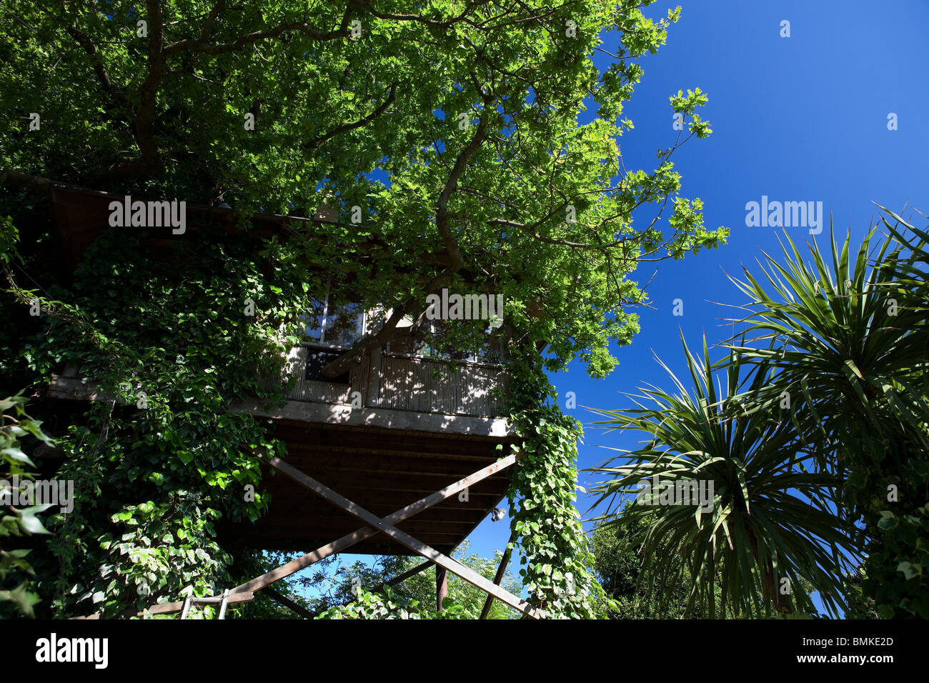 Treehouse dans le jardin exotique Banque D'Images