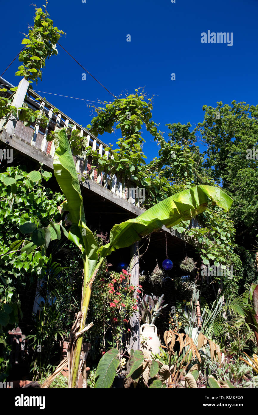 Vues autour du Jardin Exotique Norwich Banque D'Images