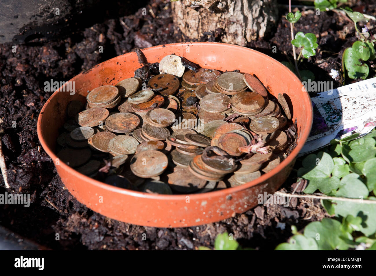 Un pot de sale et Rusty English coins, principalement deux pence et un morceaux Banque D'Images