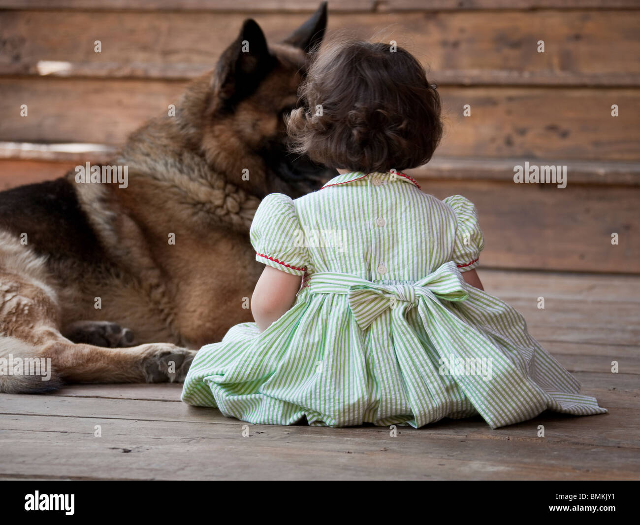 Une petite fille et son gros chien Banque D'Images