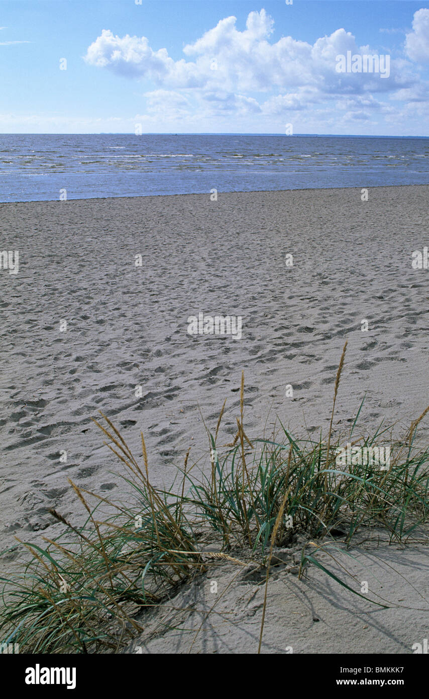 L'Estonie,Parnu Parnu,bay,plage,coût de la Baltique Banque D'Images