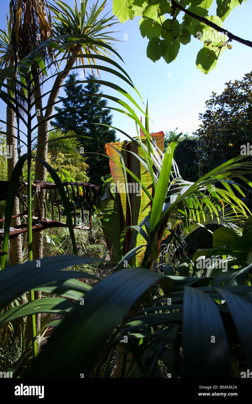 Vue à travers le jardin exotique, Norwich Banque D'Images