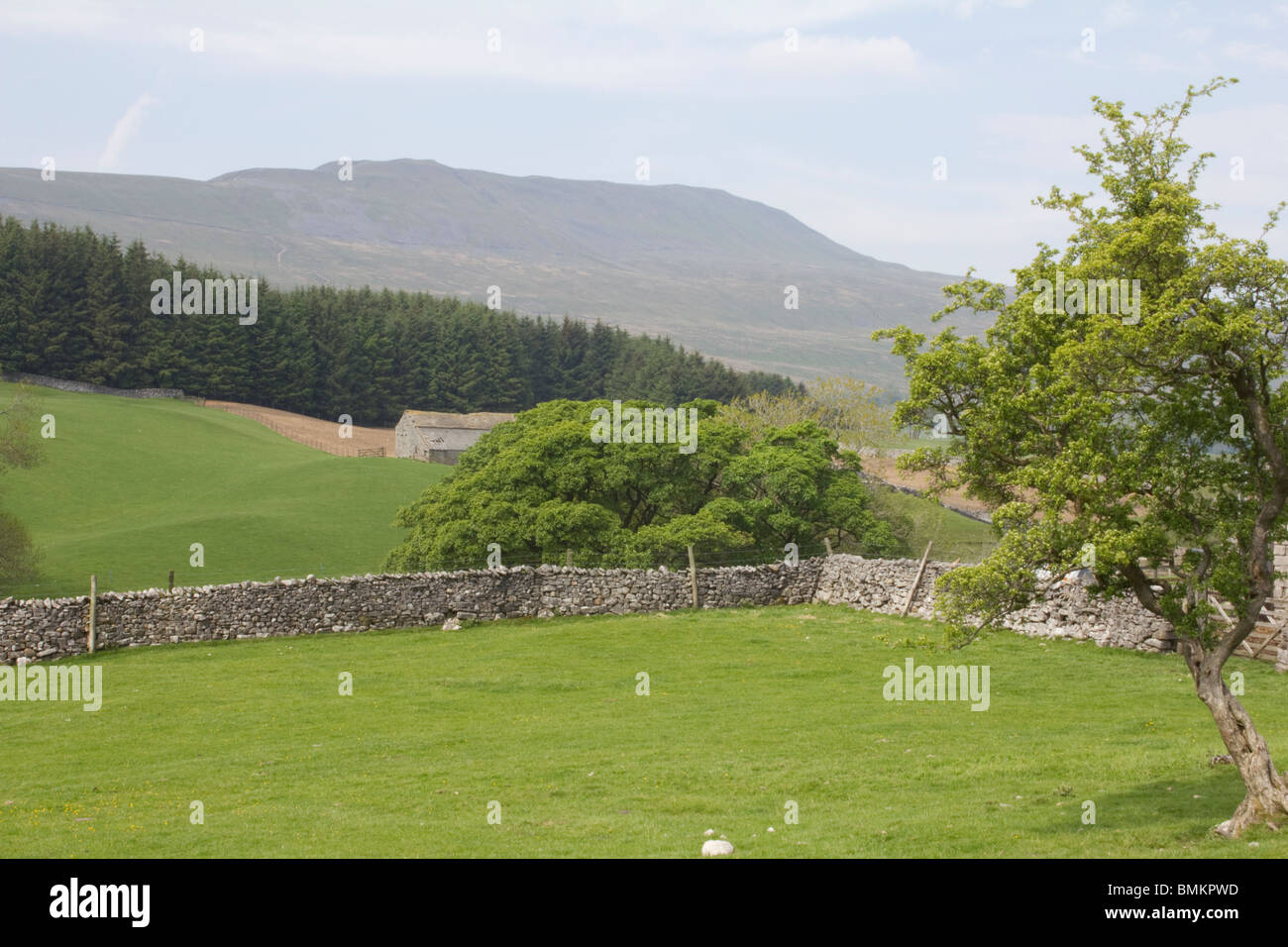 Wernside, trois pics, North Yorkshire, Angleterre Banque D'Images