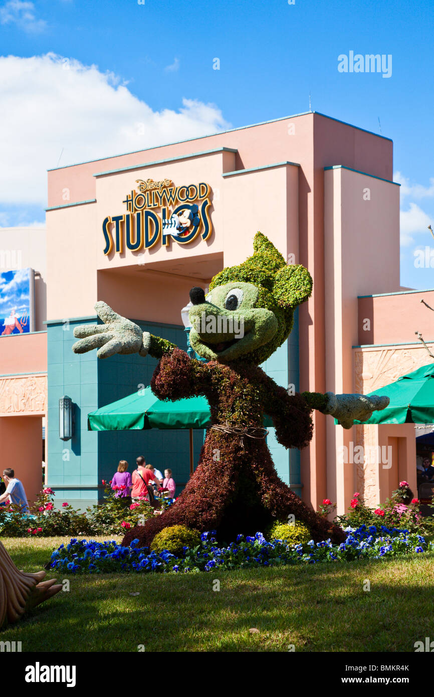 Orlando, Floride - Février 2009 - de topiaires Micky Mouse sorcier à Disney's Hollywood Studios en Floride Orlando Kissimmee Banque D'Images