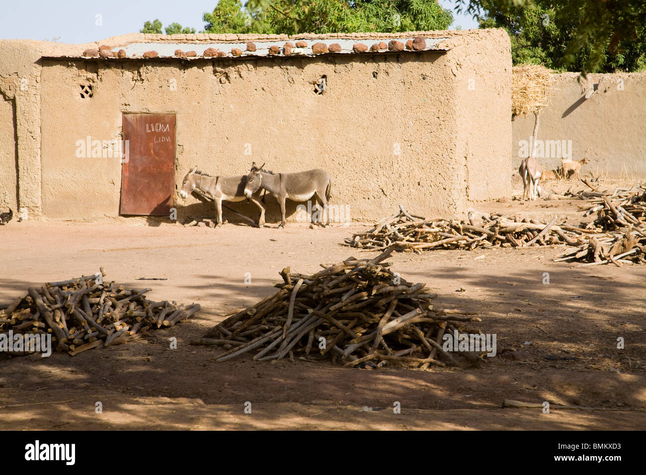 Mali, Bamako. Maisons de boue dans un village sur la route Bamako-Djenne Banque D'Images