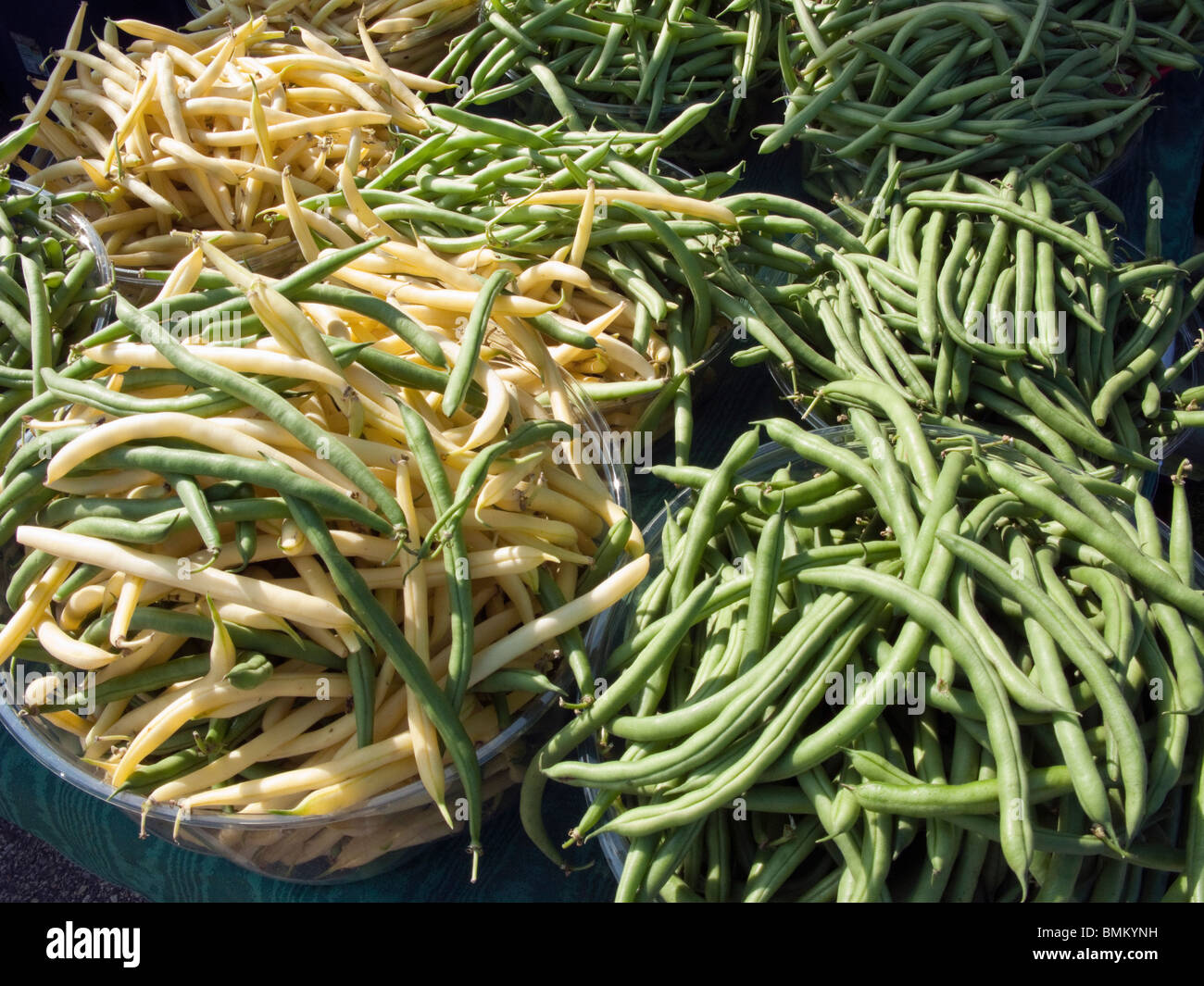 Jaune et vert bio haricots jaunes à un marché de producteurs au Minnesota. Banque D'Images