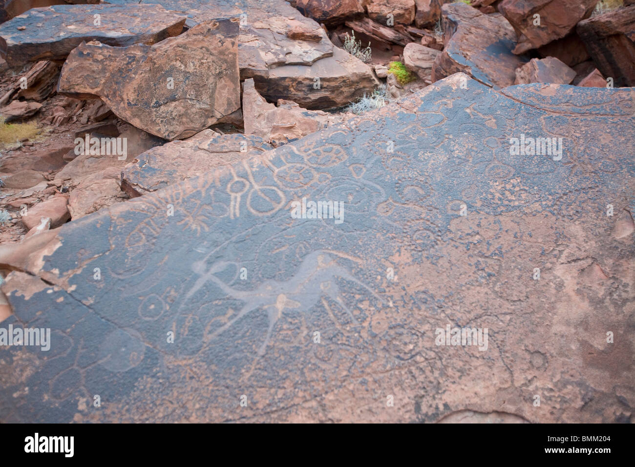 Petroglyph à Twyfelfontain, la Namibie. Banque D'Images