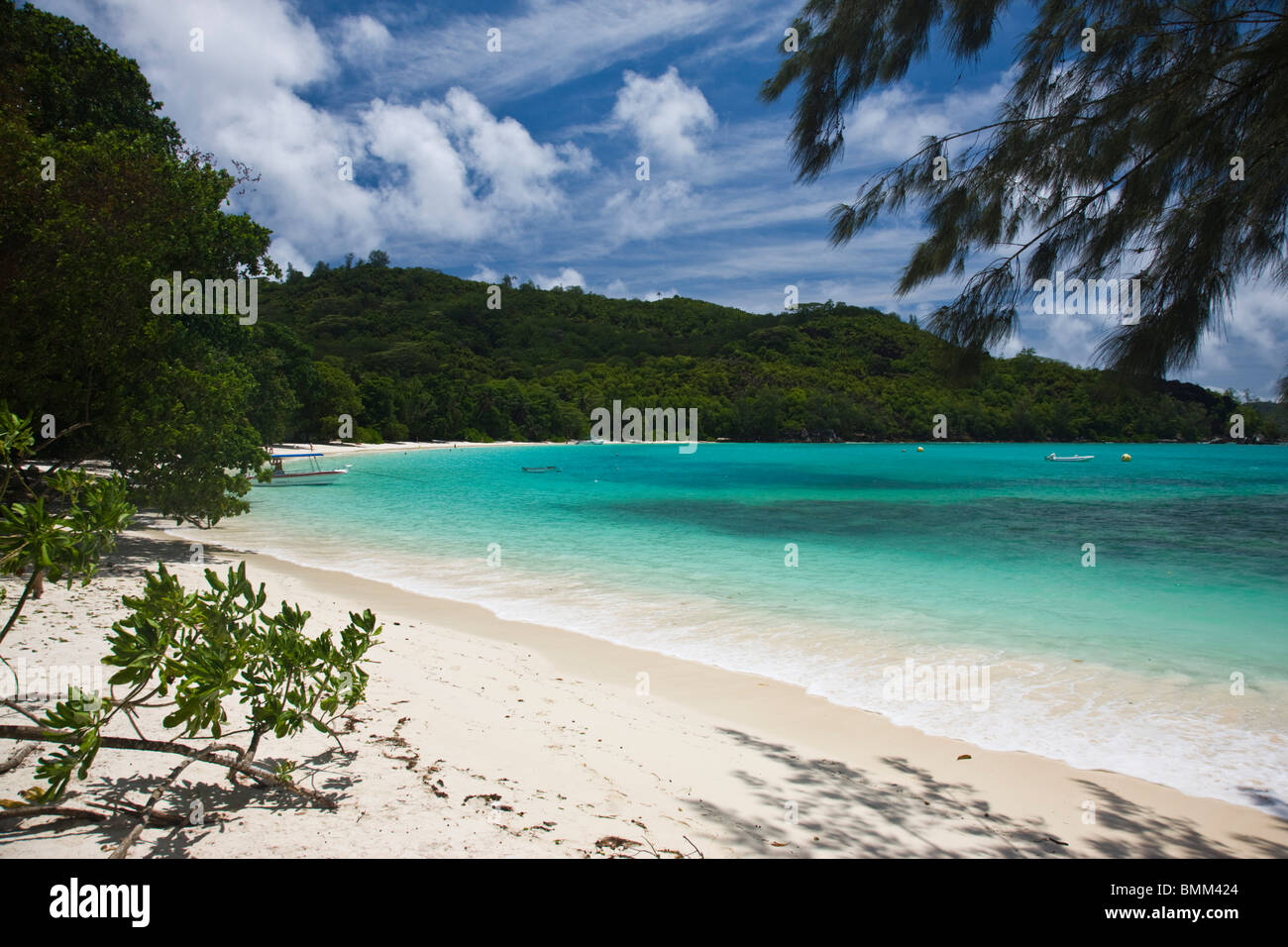 Les Seychelles, l'île de Mahé, le parc national marin de Port Launay Banque D'Images