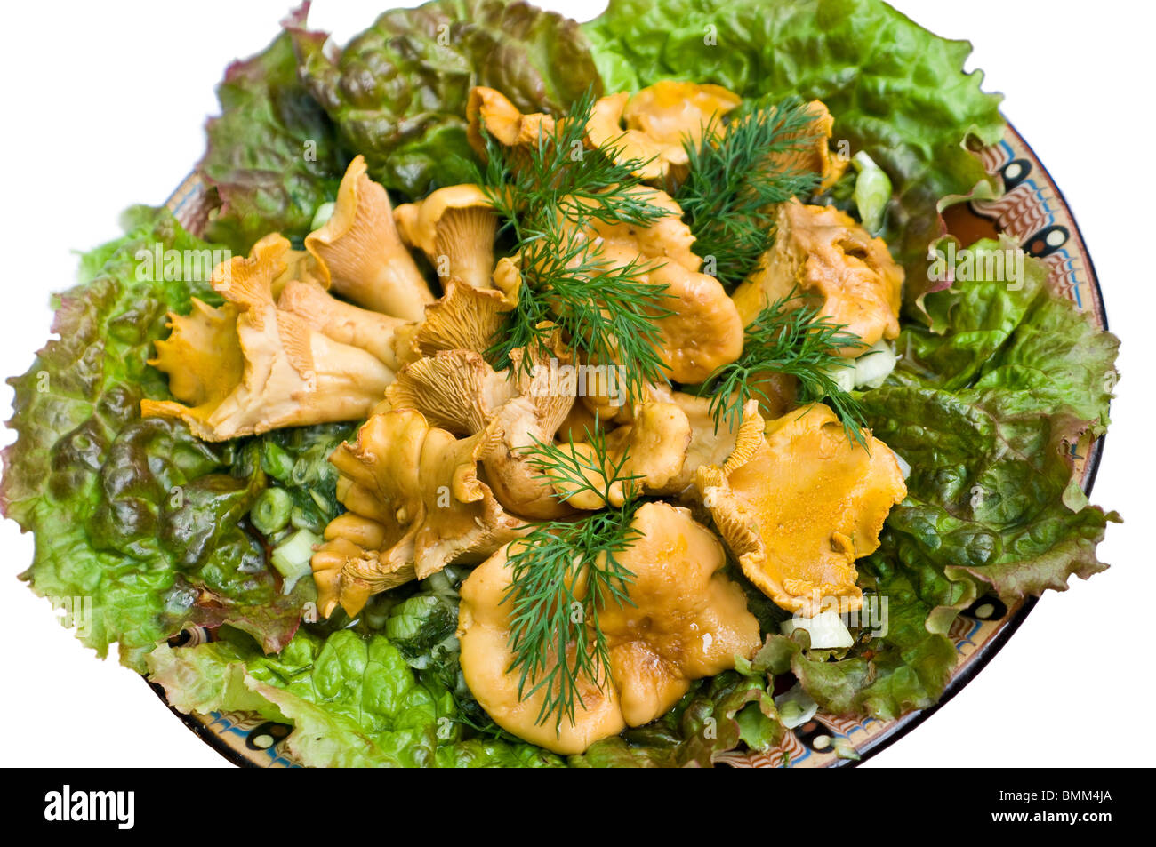 Salade de champignons sauvages. Banque D'Images