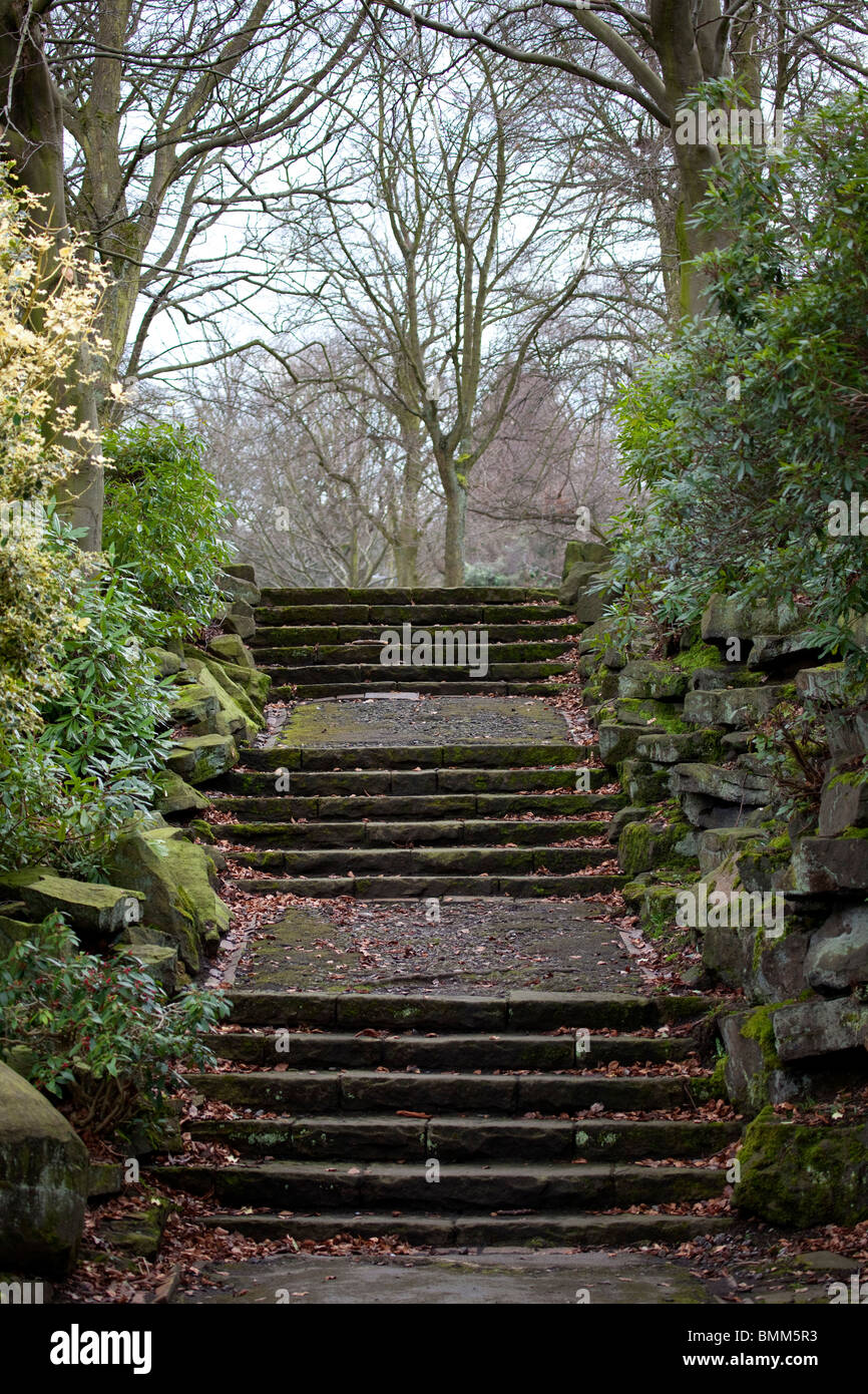 Des marches en pierre dans un parc local avec le feuillage d'un côté ou au début du printemps dans le West Yorkshire, Angleterre Banque D'Images
