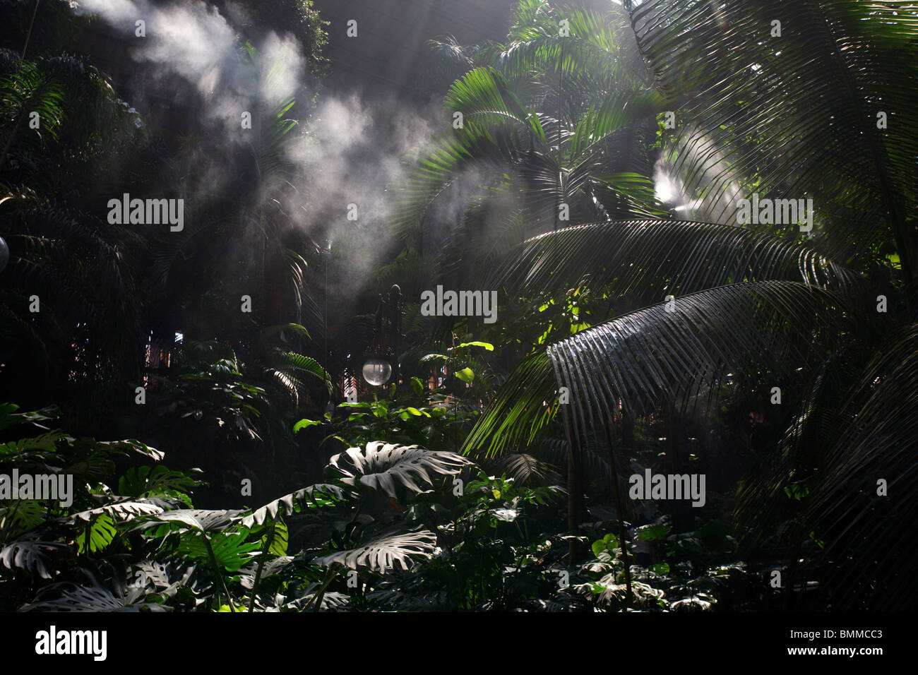 Jardin tropical, la gare d'Atocha, Madrid, Espagne Banque D'Images