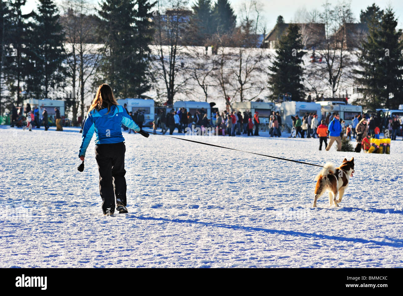 Femme promener son chien dans la neige, le chien en tirant Banque D'Images