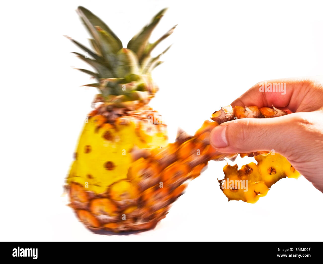 Une main pèle du la coque extérieure d'un ananas qui cause le fruit à tourner dans le sens opposé Banque D'Images