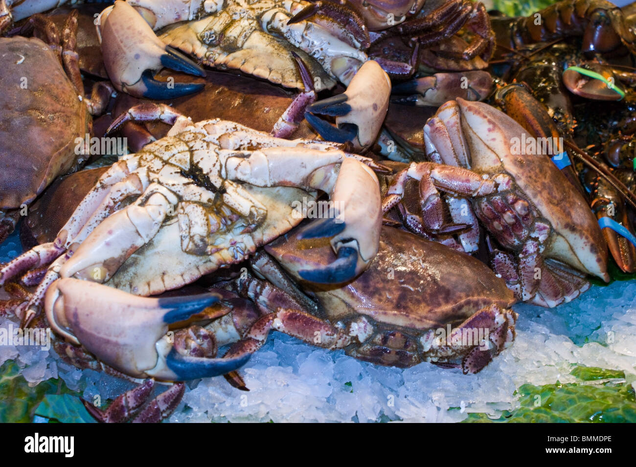 Les crabes VIVENT DANS LE MARCHÉ DE LA BOQUERIA BARCELONA Banque D'Images