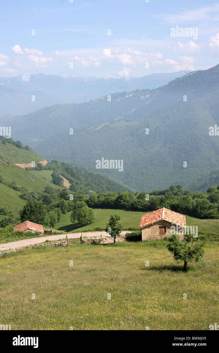 Maison à distance dans les montagnes près de Barzana, entouré de prairies et de montagnes boisées, Asturies Banque D'Images